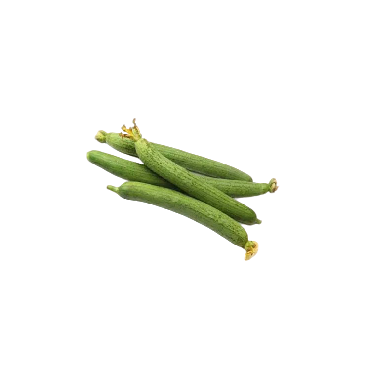 山东新鲜蔬菜丝瓜 1.2斤左右