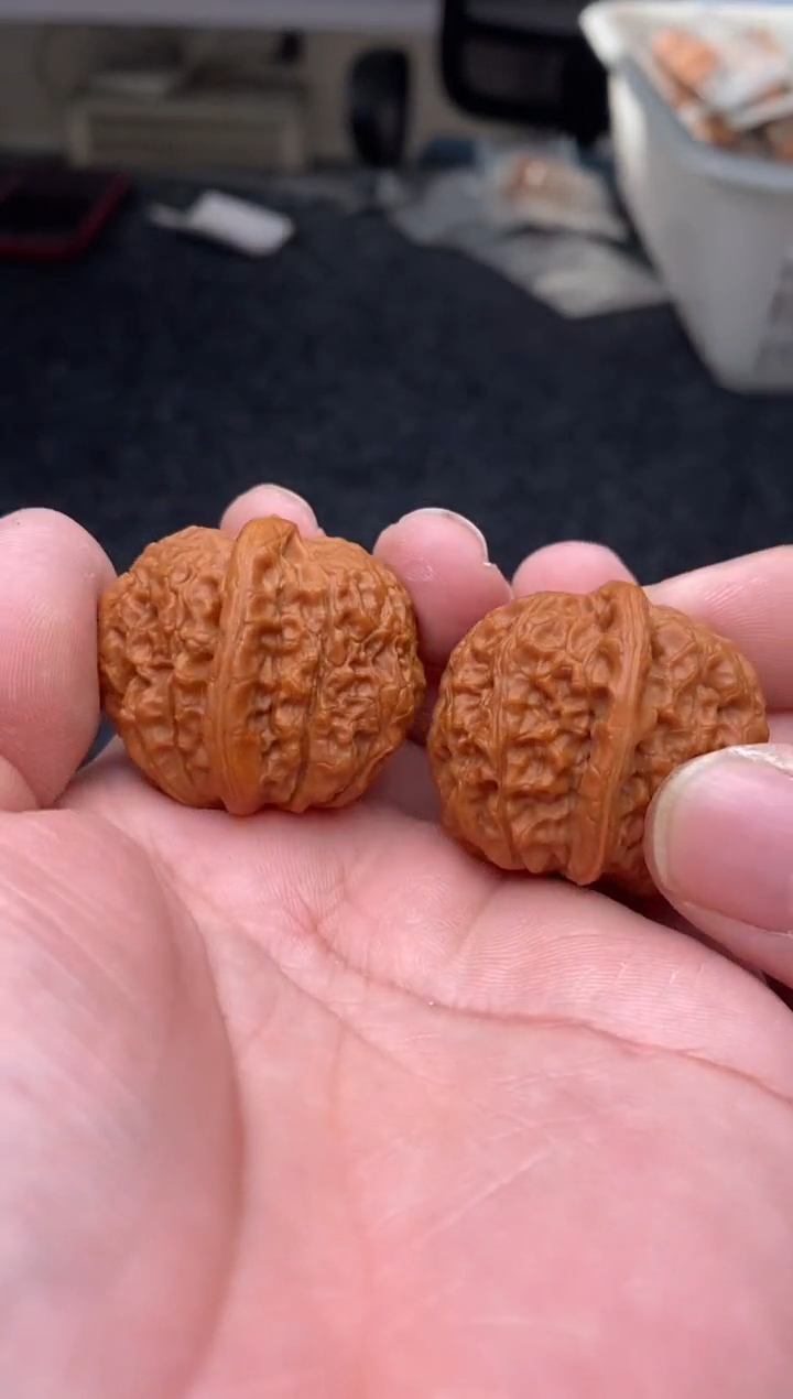 把件文玩核桃B185号血麒麟36尺