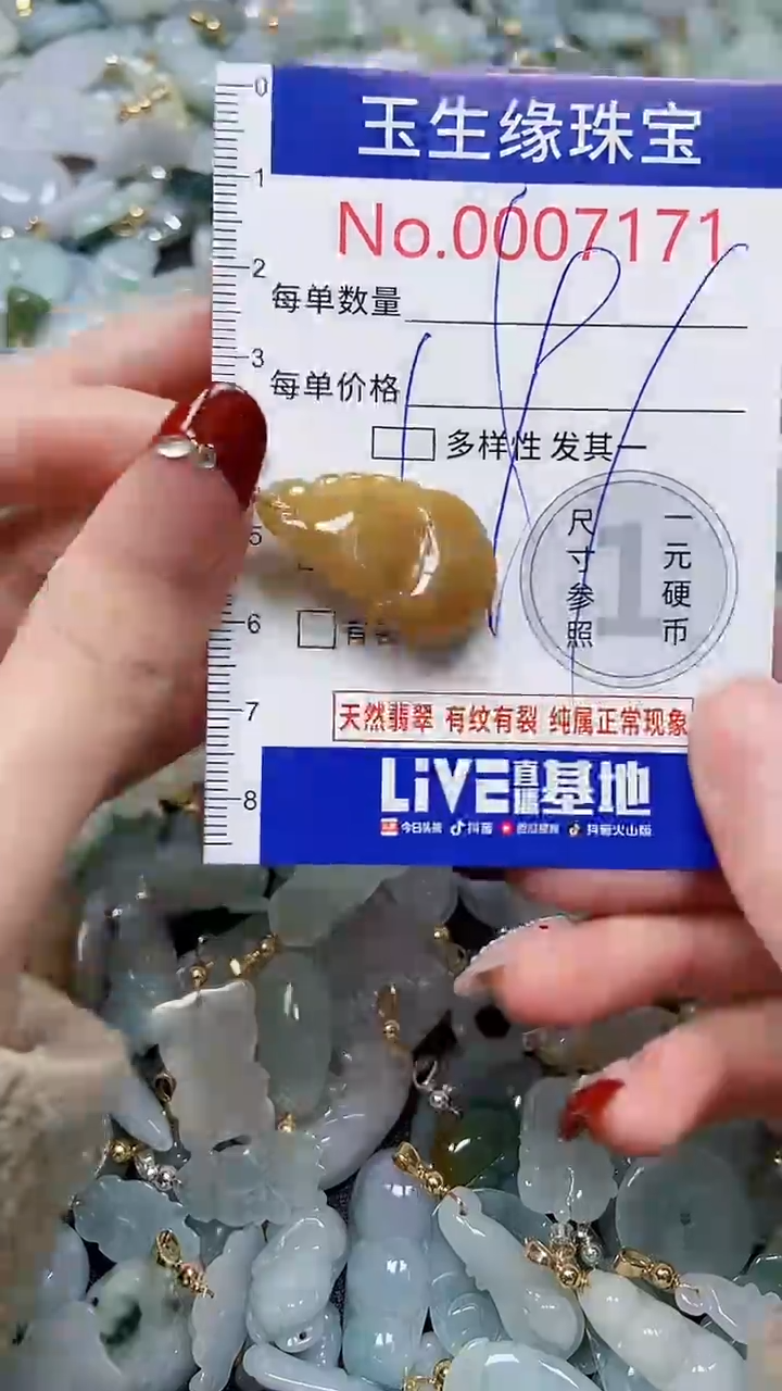 【闪购商品】翡翠颈饰未镶嵌闪购00007171