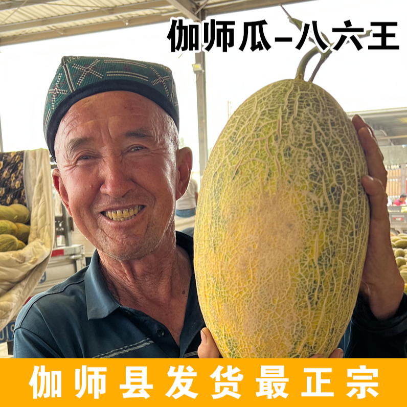 【s顺丰包邮】正宗新疆伽师瓜八六王非哈密瓜新鲜当季水果爆甜黄皮