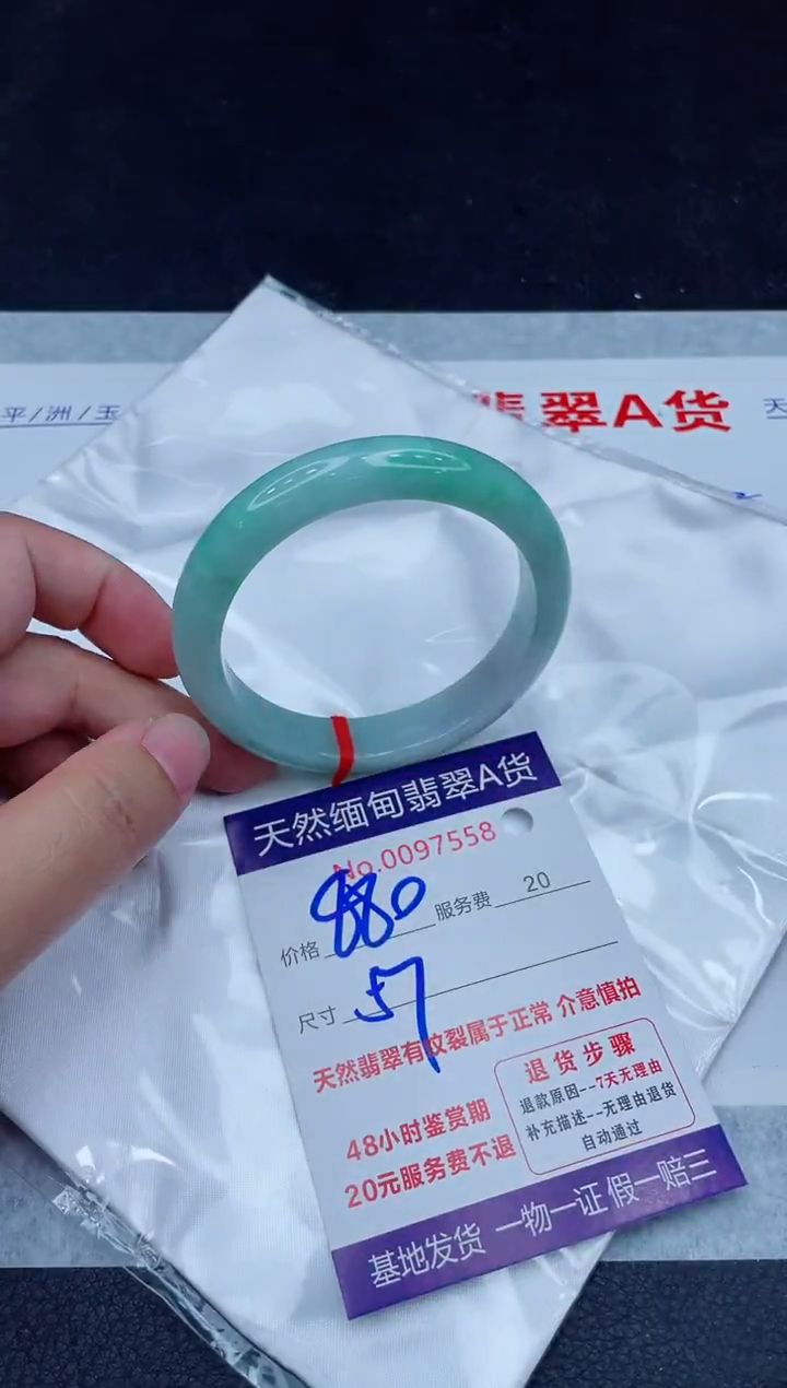 未镶嵌手镯翡翠880.00000