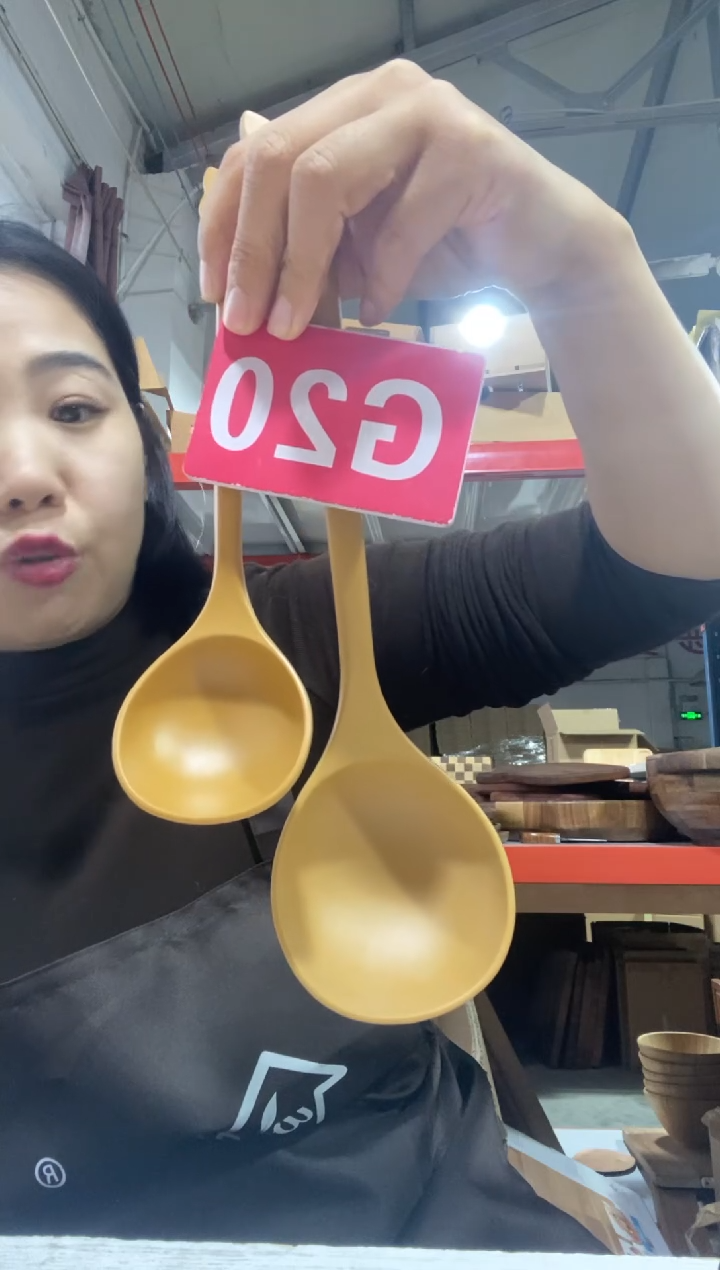 木闪购2025/11/27 G20