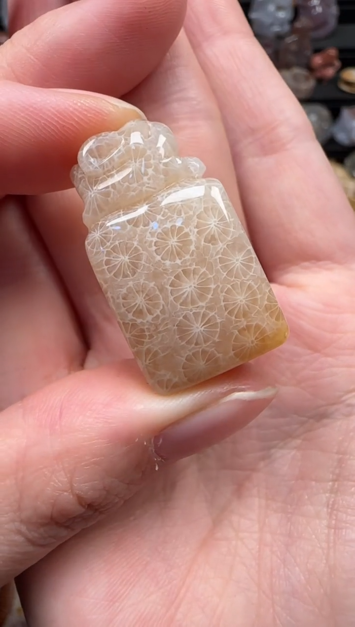 颈饰未镶嵌硅化珊瑚（珊瑚玉）377