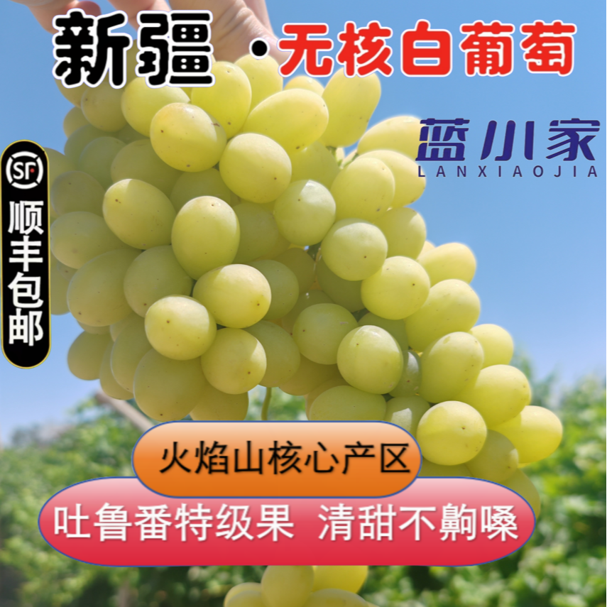 新疆火焰山吐鲁番无核白葡萄新鲜应季无籽皮薄脆甜葡萄同城送新疆维吾尔自治区