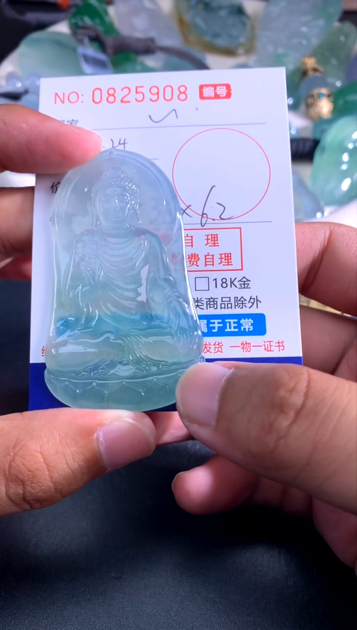 颈饰未镶嵌翡翠~***~月