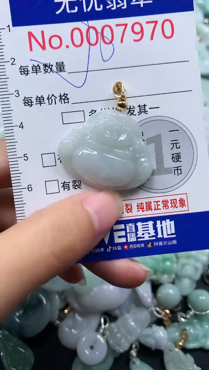 颈饰未镶嵌翡翠7970