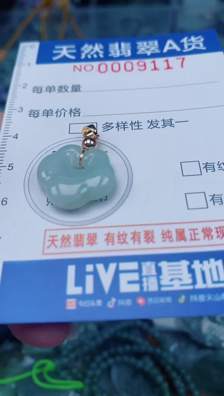 颈饰未镶嵌翡翠00009117