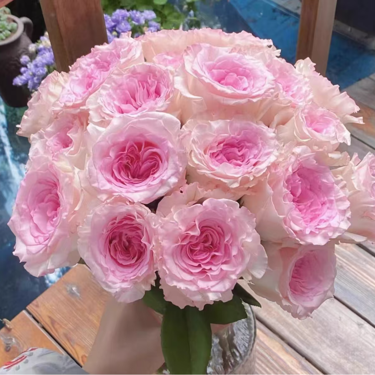 【甜美系洛神】云南基地鲜花新鲜高品质1单普通快递 2单顺丰/京东