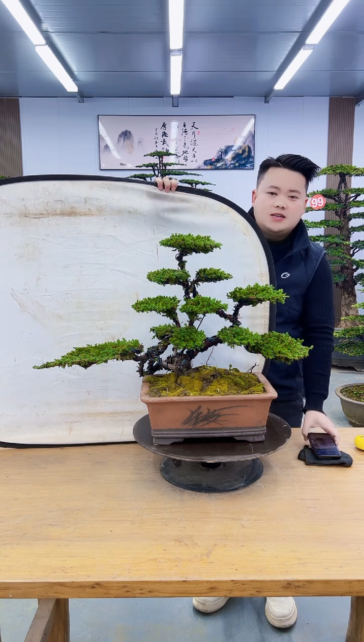 以实际为准00000000