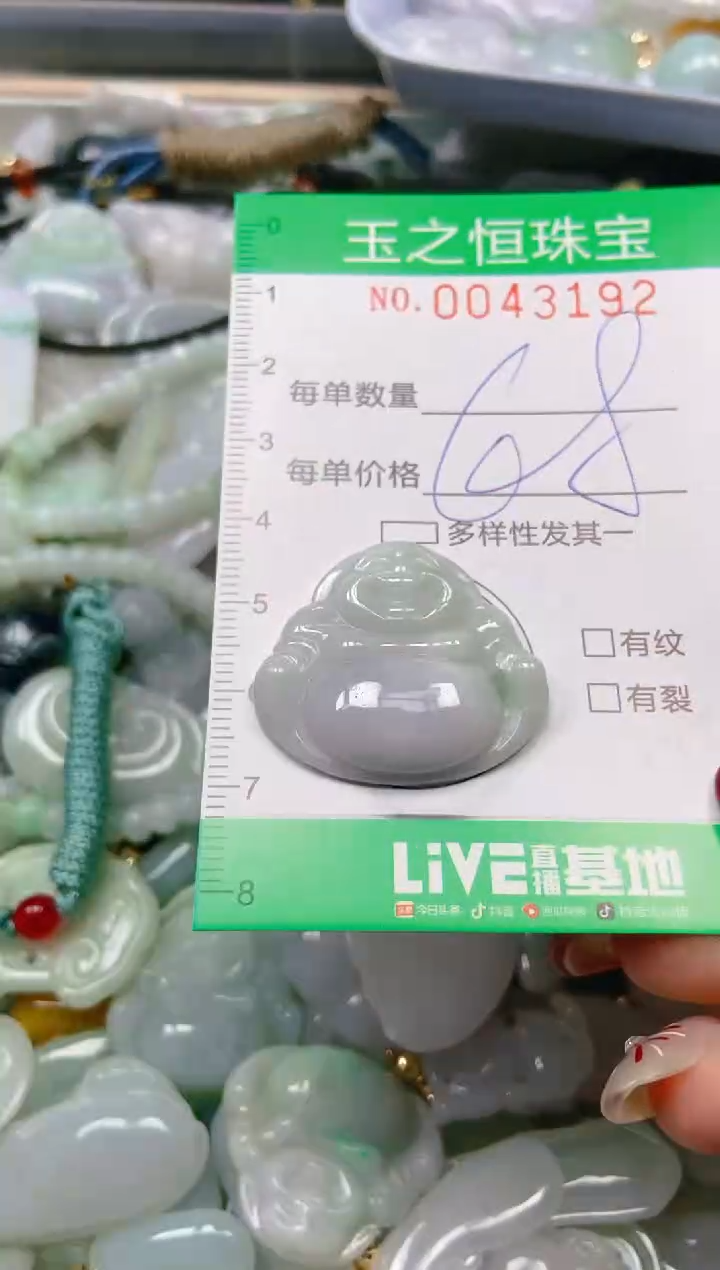 【闪购商品】翡翠颈饰未镶嵌闪购0043192