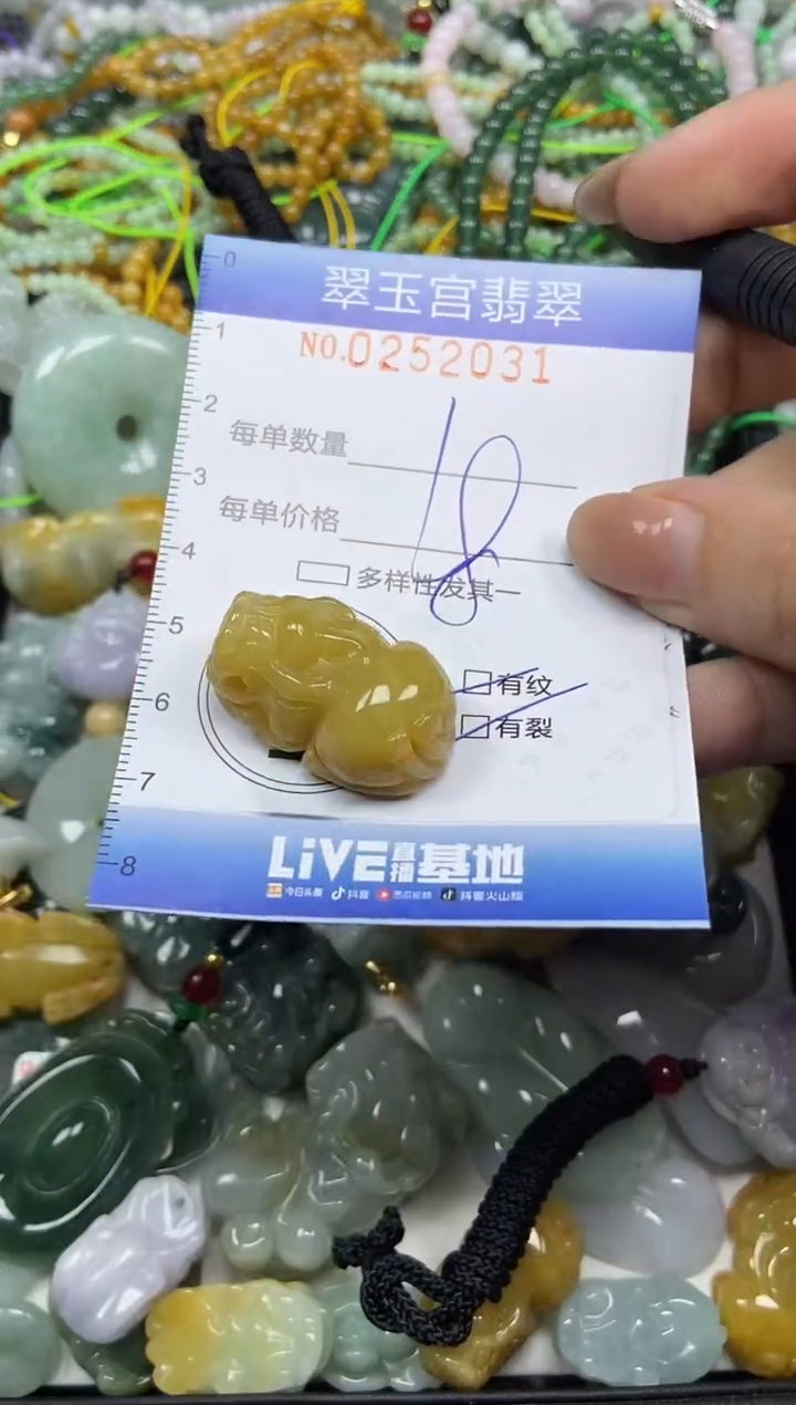 颈饰未镶嵌翡翠闪购C0252031