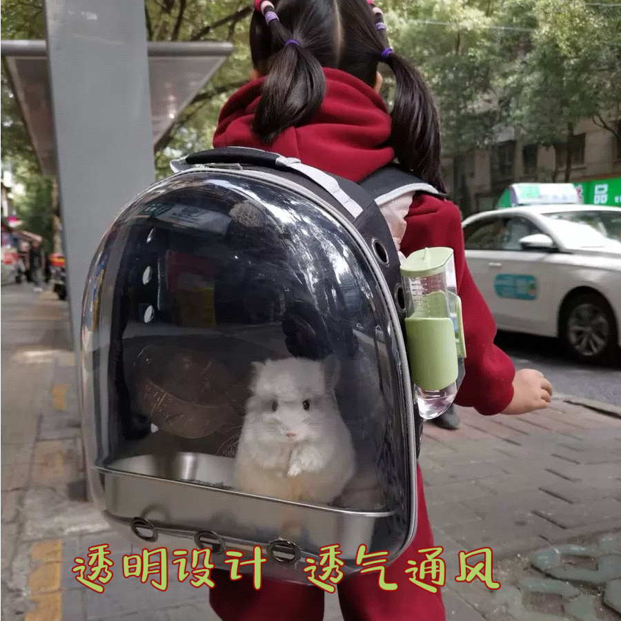 龙猫亚克力透明背包外带用配套椰子碗厕所水壶（水壶颜色随机）