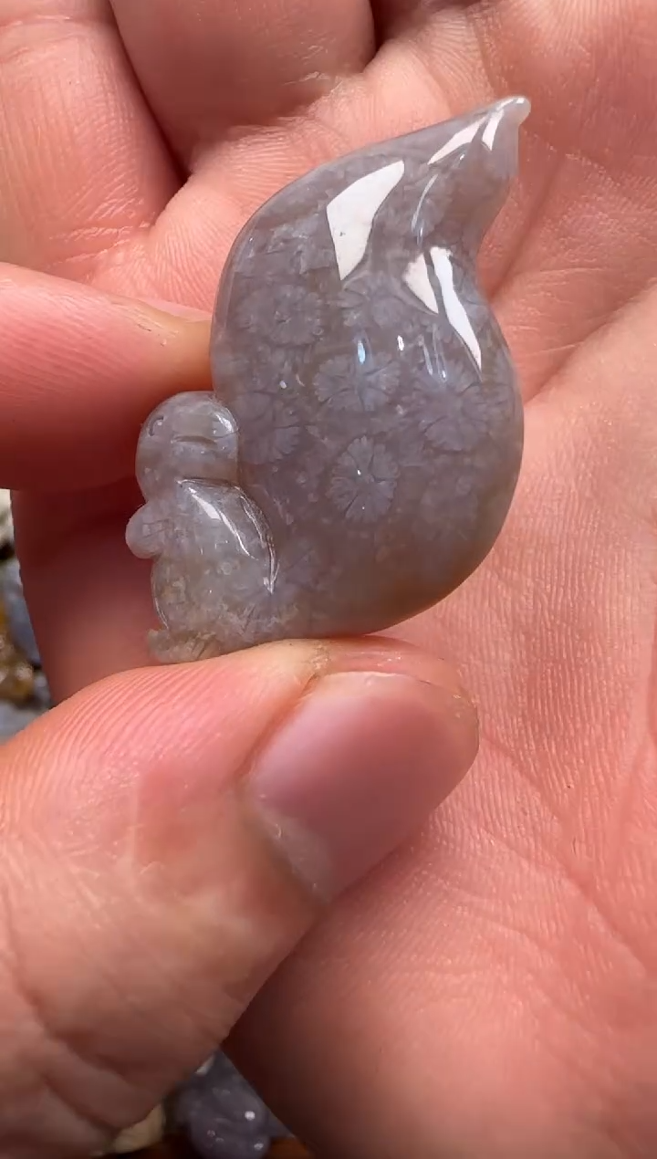 【闪购商品】硅化珊瑚（珊瑚玉）颈饰未镶嵌147