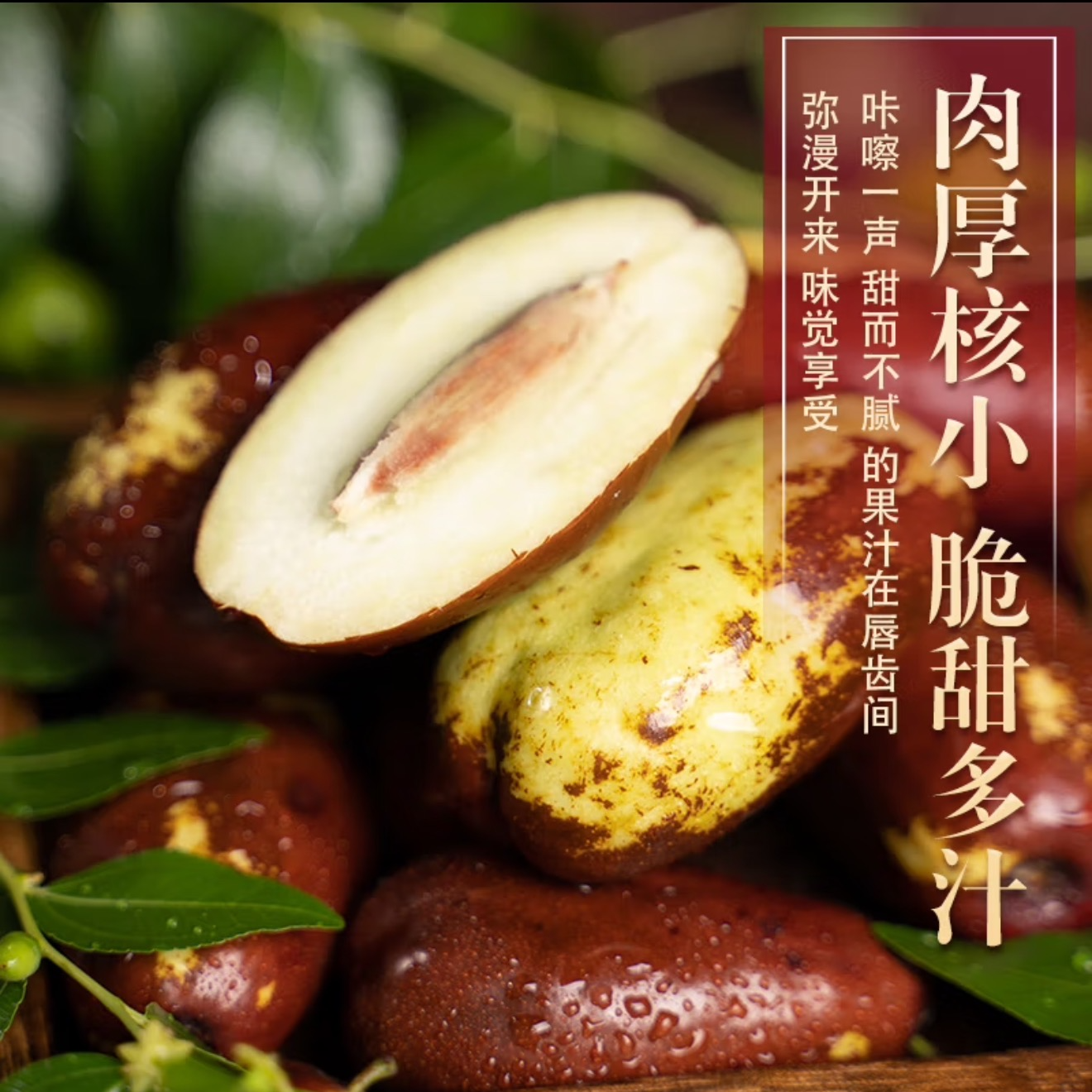 【带果发货】As枣树苗甜度大果树苗庭院阳台露天盆栽地栽苗木源头