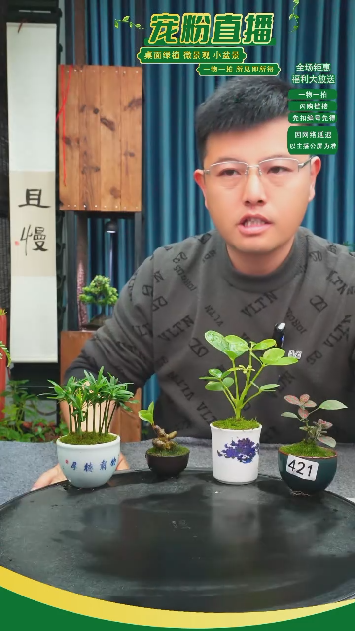 无花朵s***n苔藓微景观421号