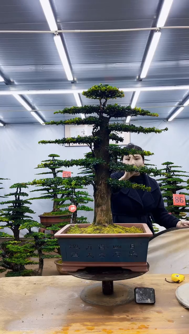 无花朵一物一拍，所见即所得