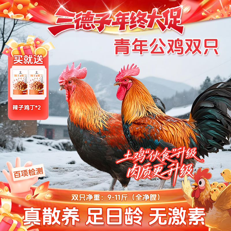三德子【青年公鸡】山地散养200天左右跑山鸡土鸡红烧公鸡炖汤