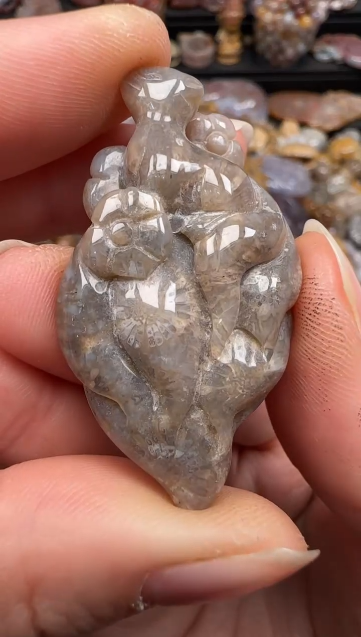 硅化珊瑚（珊瑚玉）未镶嵌颈饰490