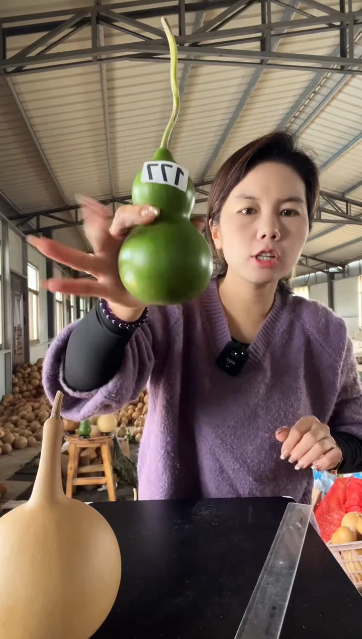 177天然葫芦摆件 一物一拍龙头不保售后