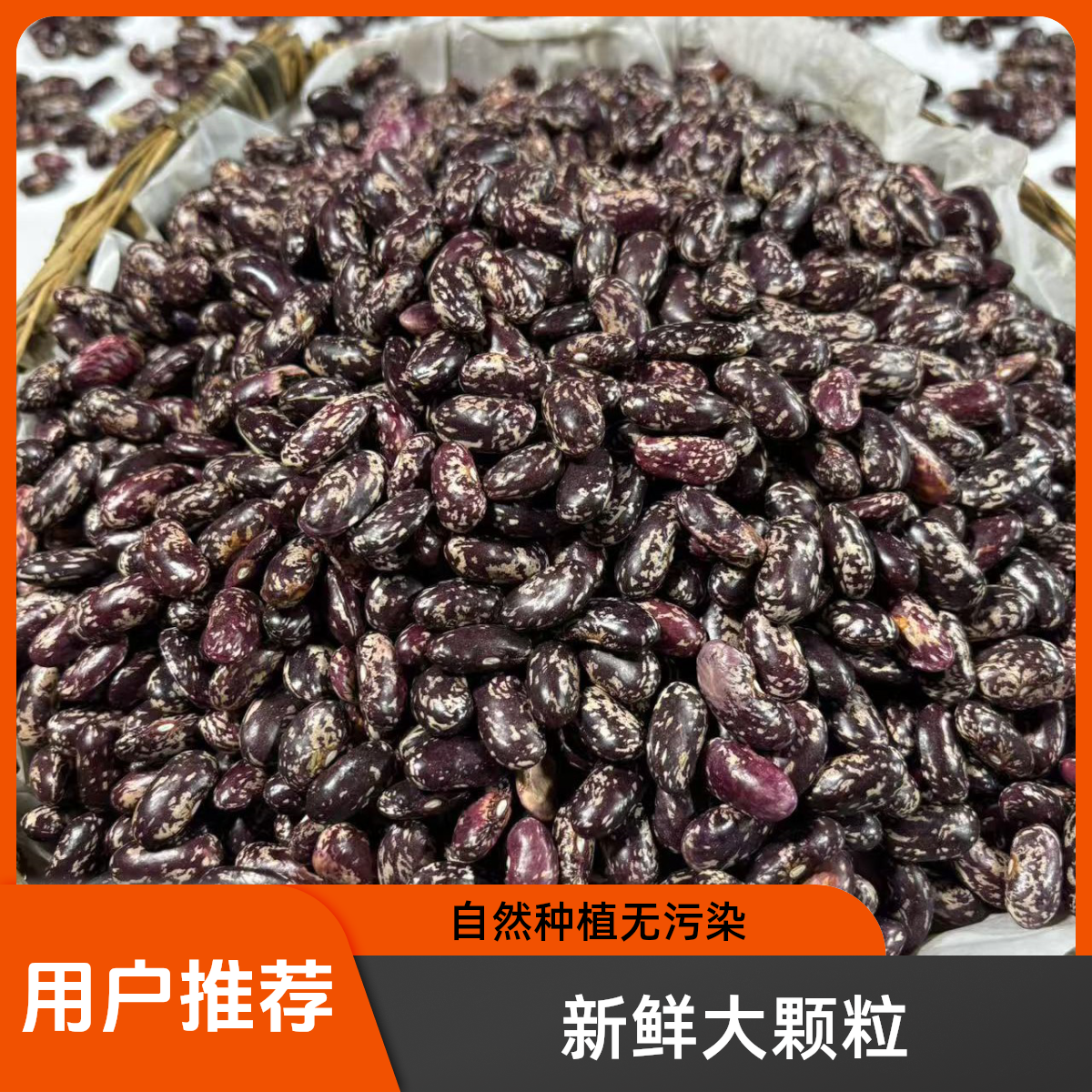 云南小琴农家紫豆金豆米(无添加又香又糯)