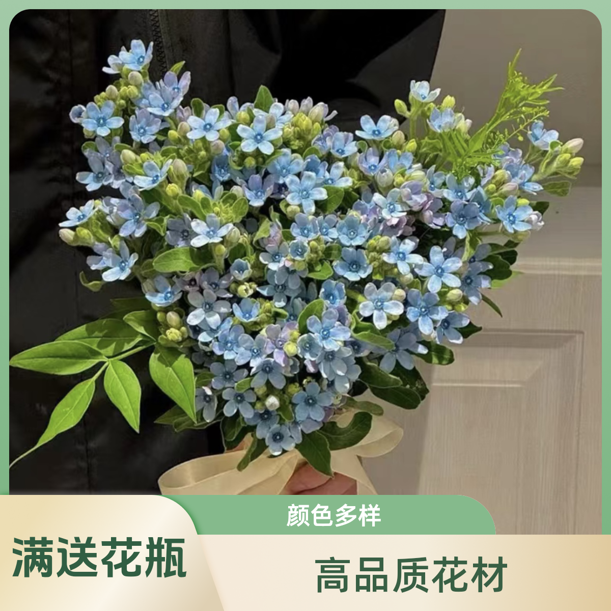 『蓝星花』1把 高品质配花  全场一单包邮 两单顺丰