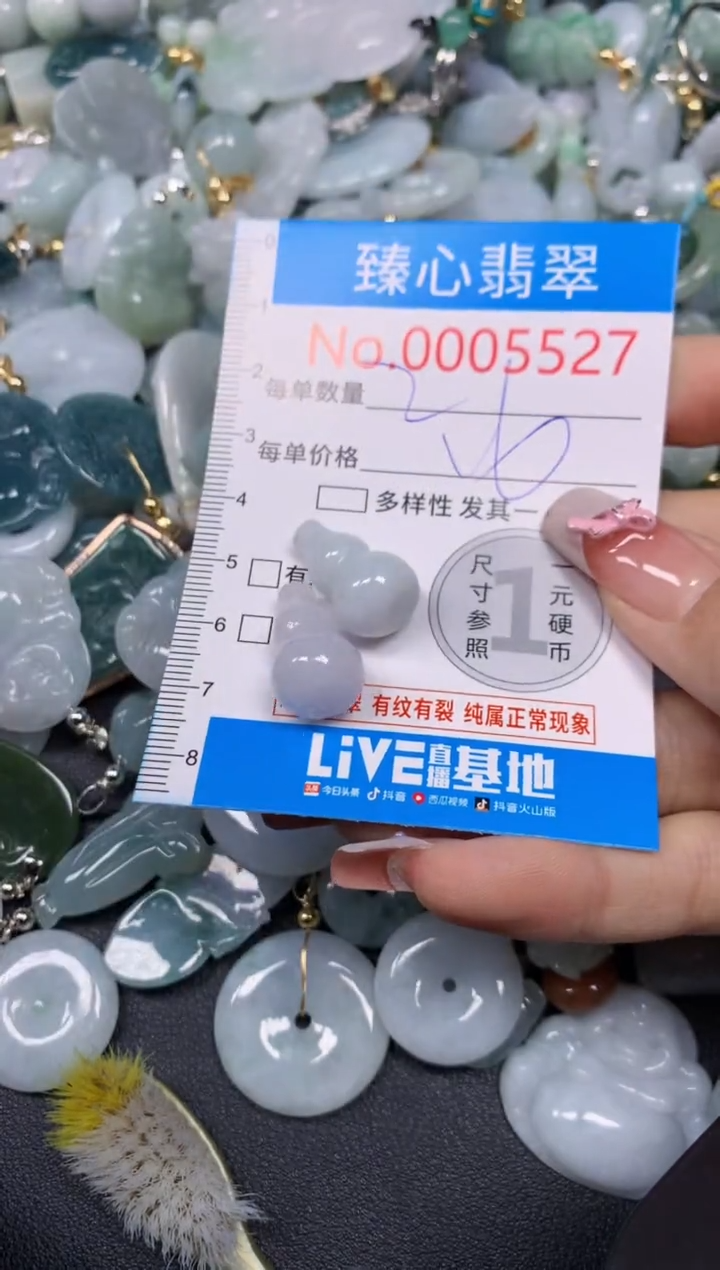 【闪购商品】翡翠颈饰未镶嵌含绳0005527