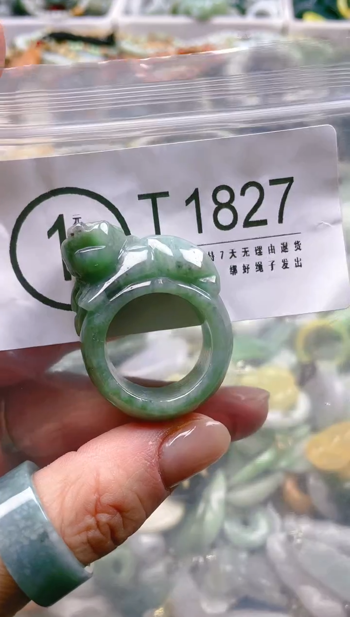 【闪购商品】翡翠颈饰未镶嵌21/T/翡翠A货一图一物