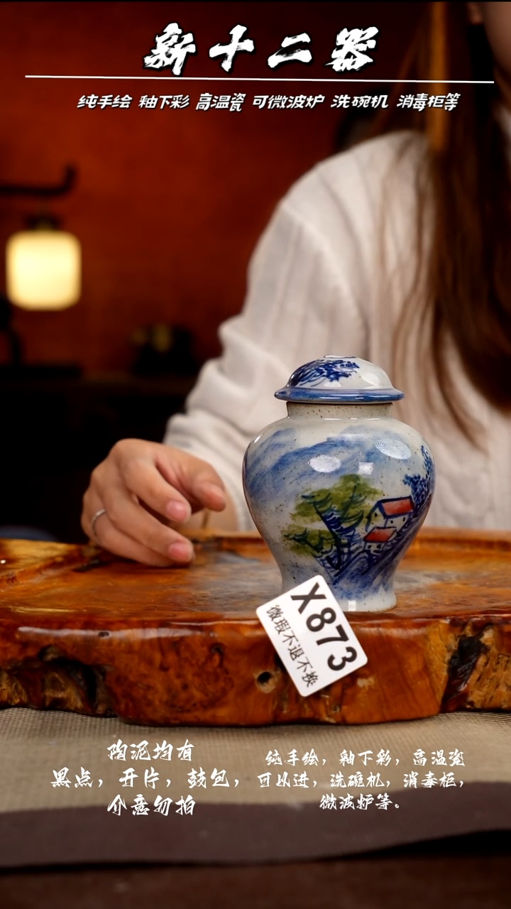 WX873新十二器瓷器