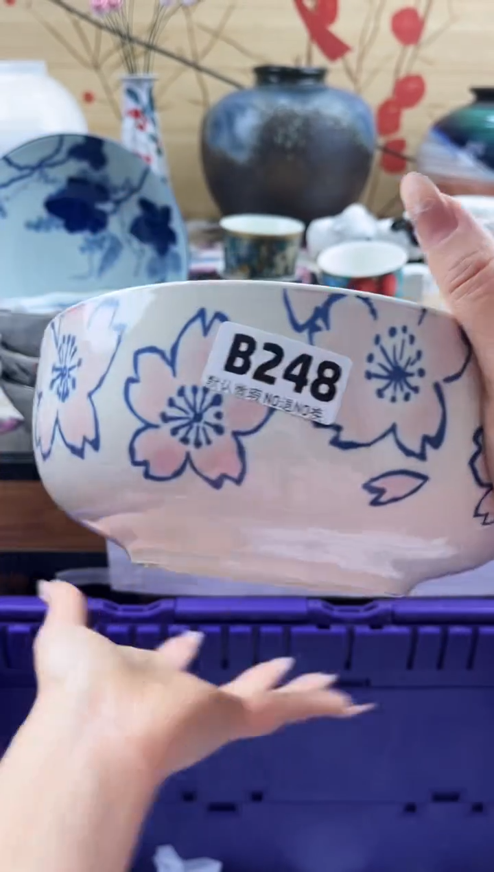 用****2==============b248