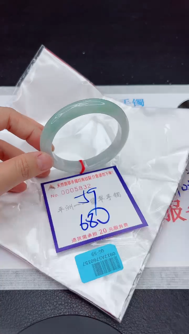未镶嵌手镯翡翠11111