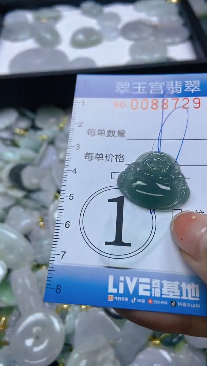 【闪购商品】翡翠颈饰未镶嵌闪购0088729