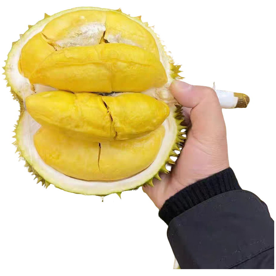 暹味树熟新鲜金枕纯果肉2斤核小金枕泰国