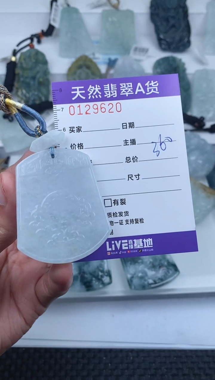 【闪购商品】翡翠颈饰未镶嵌         620