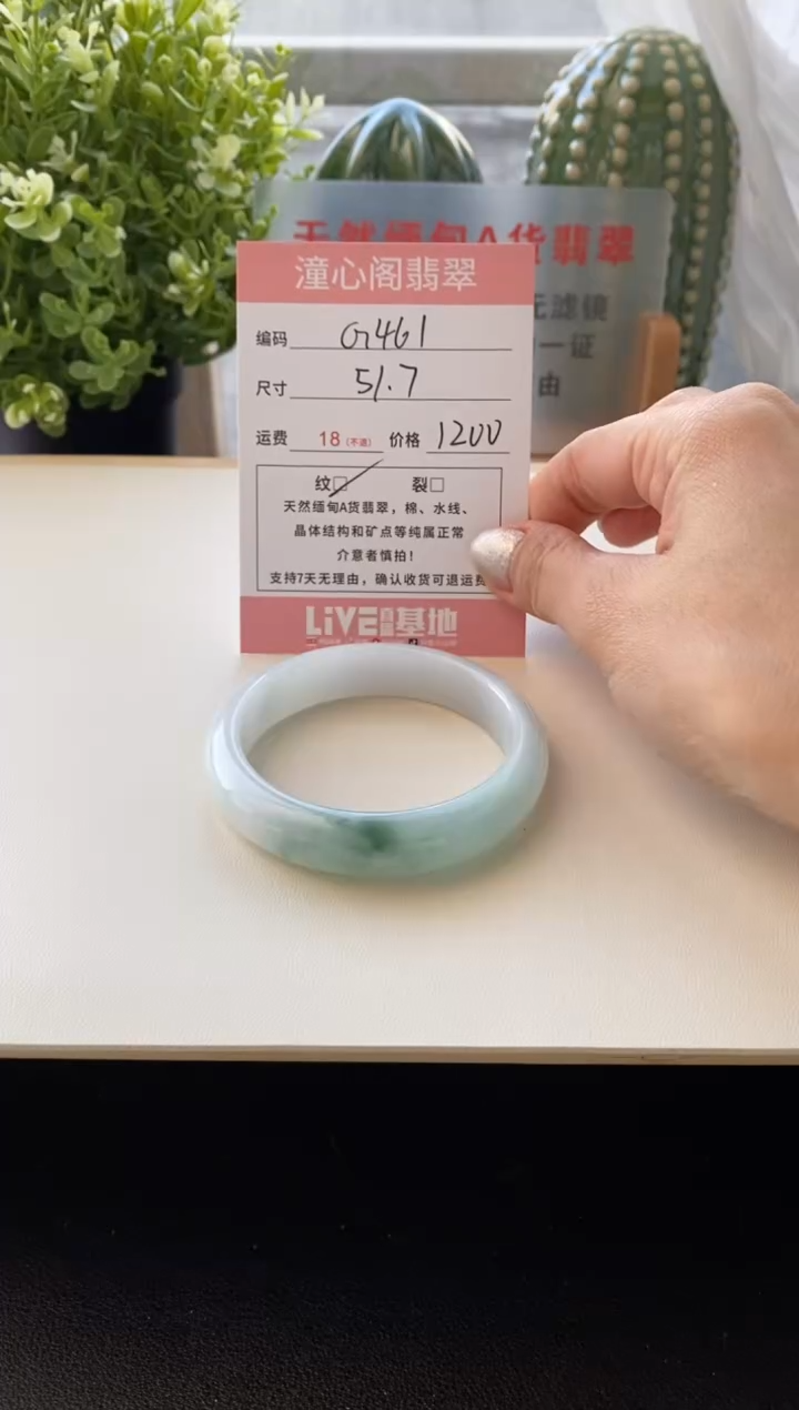 未镶嵌手镯翡翠51.7圈口编码G461