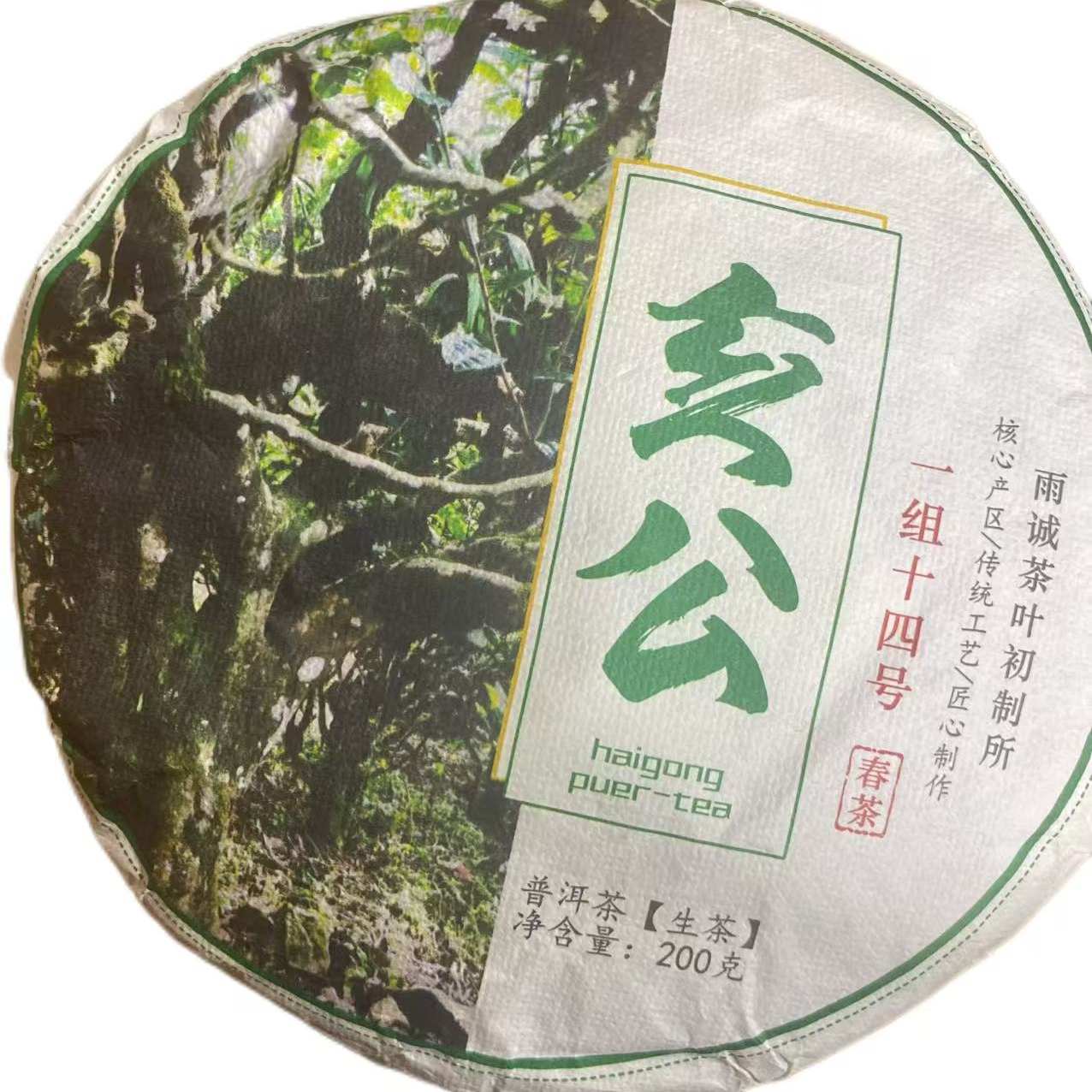 2023年亥公老树普洱 生茶200克1饼--19号