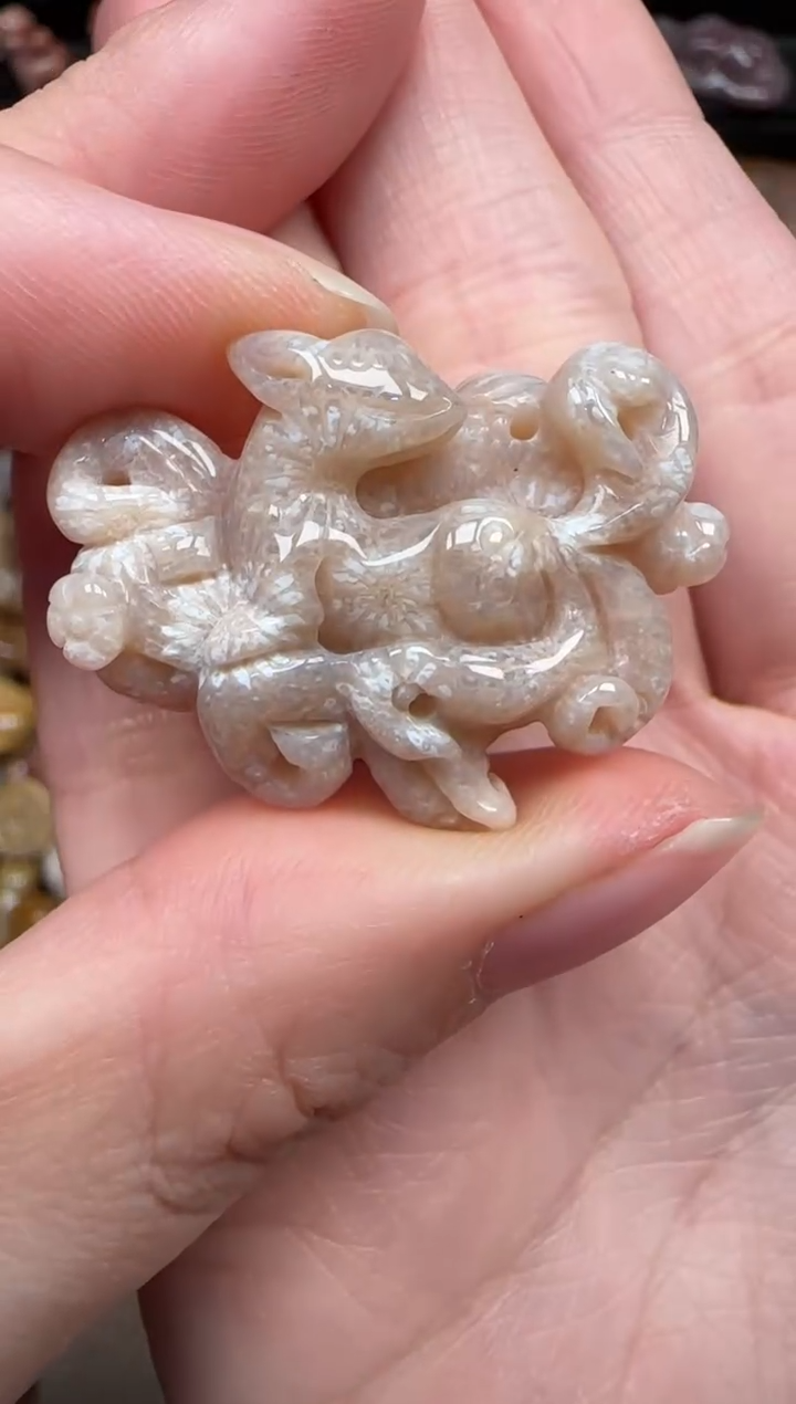 颈饰未镶嵌硅化珊瑚（珊瑚玉）352
