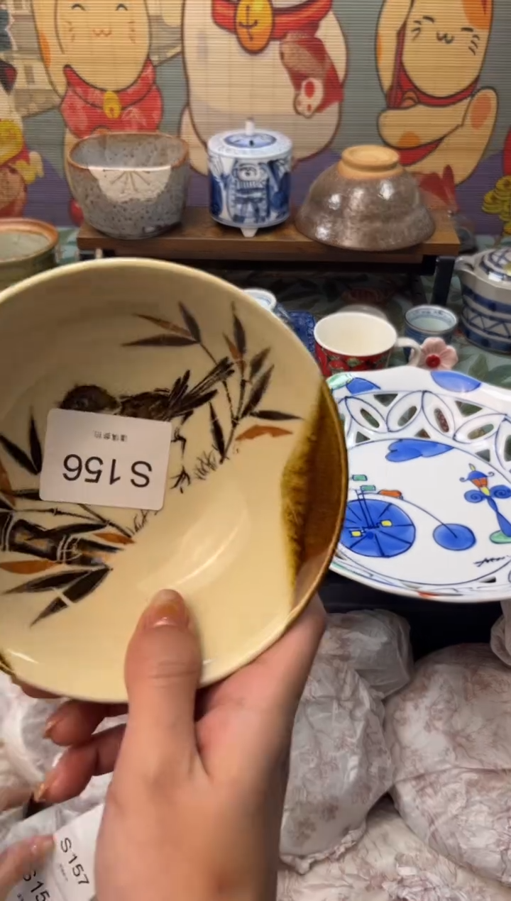 瓷片葵*      S156