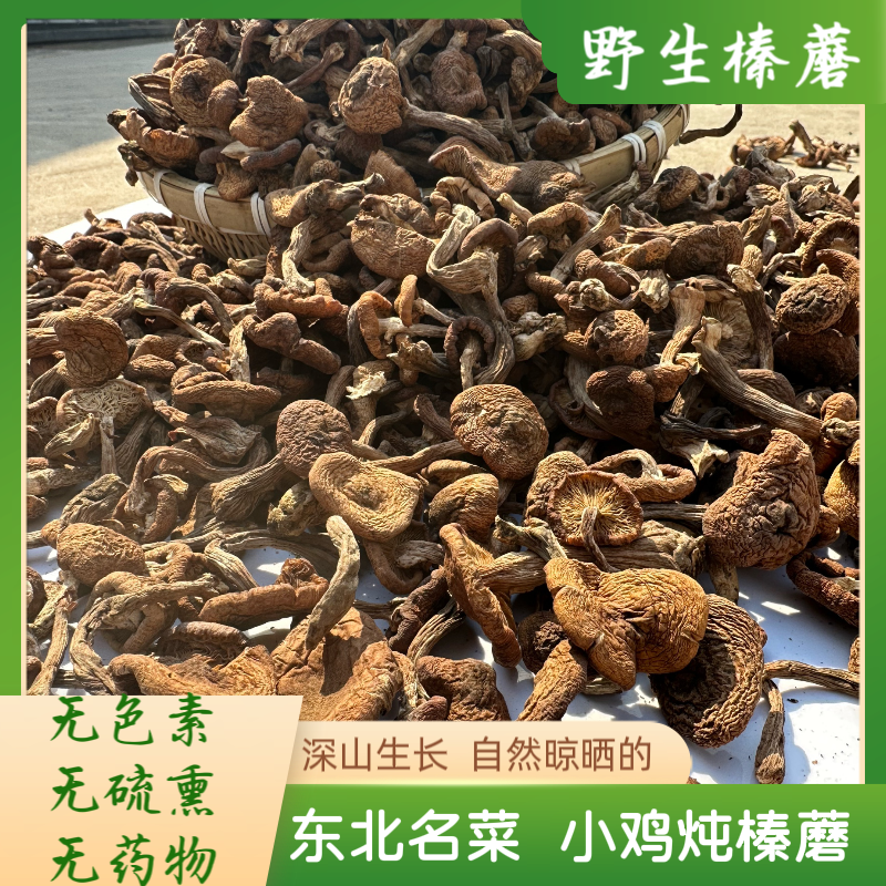 【榛蘑+赠人参】小鸡炖蘑菇 东北特产 自然晾晒 小鸡炖蘑菇无添加