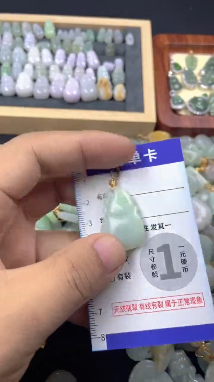 颈饰未镶嵌翡翠天然A货翡翠