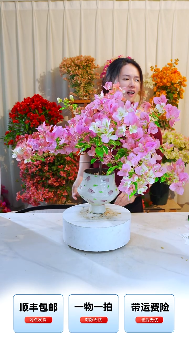 大部分开放少量花苞金心黄白