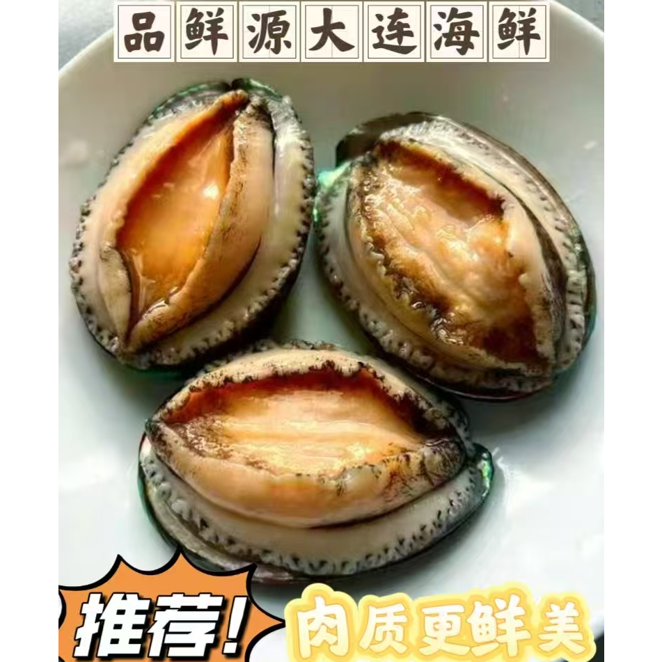 大连鲜活鲍鱼超大鲍鱼2-3头（保鲜不保活）