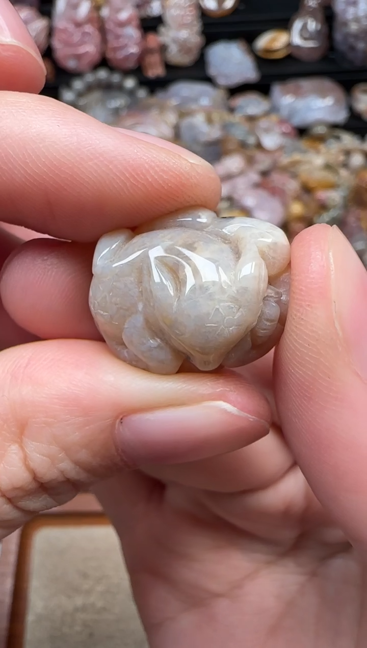 颈饰未镶嵌硅化珊瑚（珊瑚玉）811