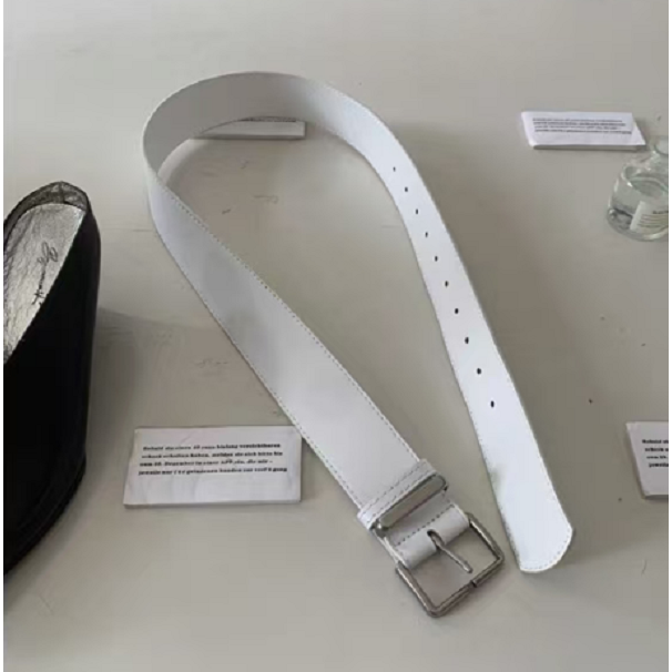 二姐定制 & 经典时尚轻奢百搭女士腰带  25HH6511