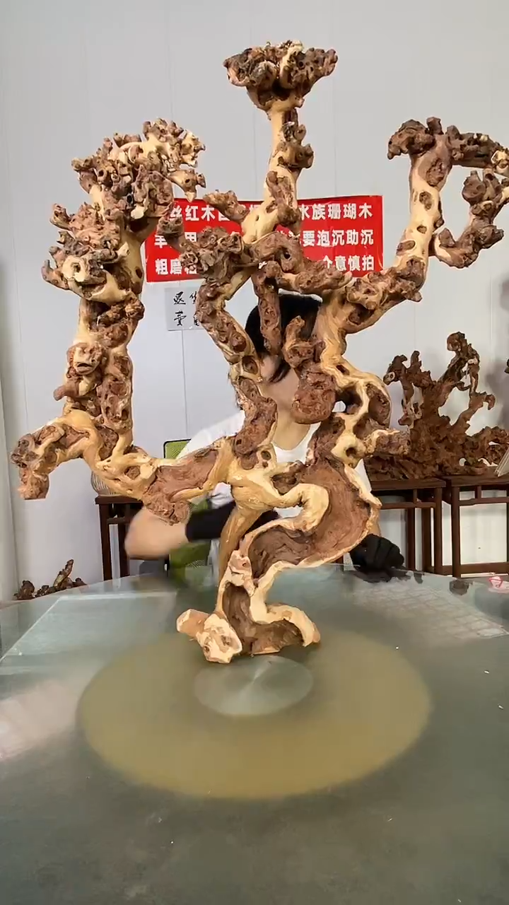 香榧木索*昶金丝红木 羊蹄甲