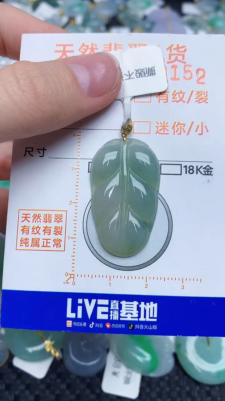 【闪购商品】翡翠颈饰18K金镶嵌4534545