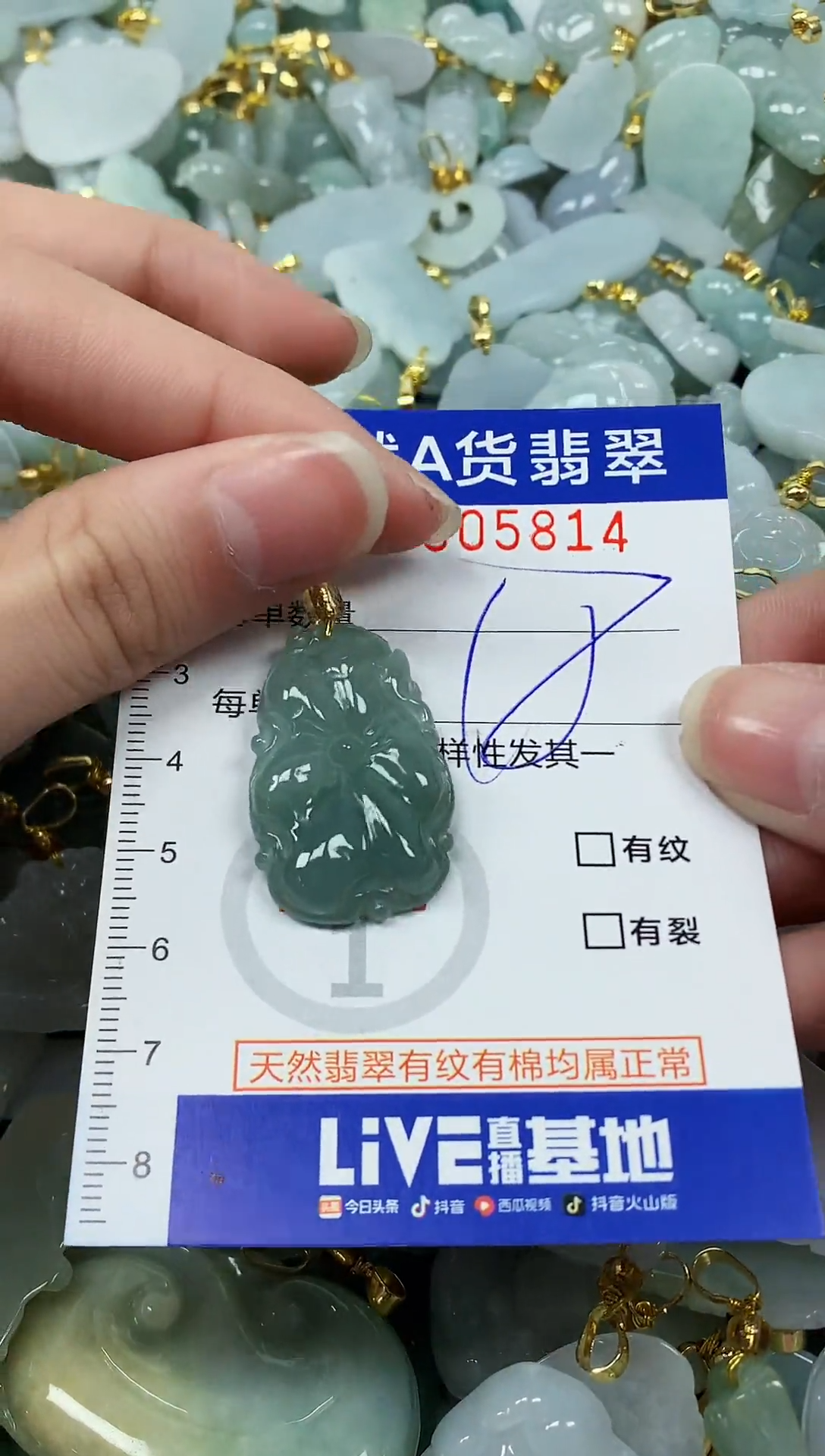 颈饰未镶嵌翡翠纯天然a货翡翠