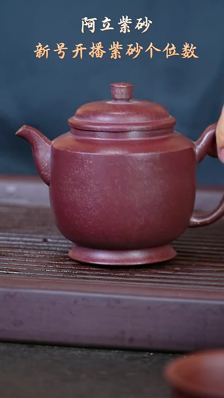 紫砂紫玉金砂@@ch04409