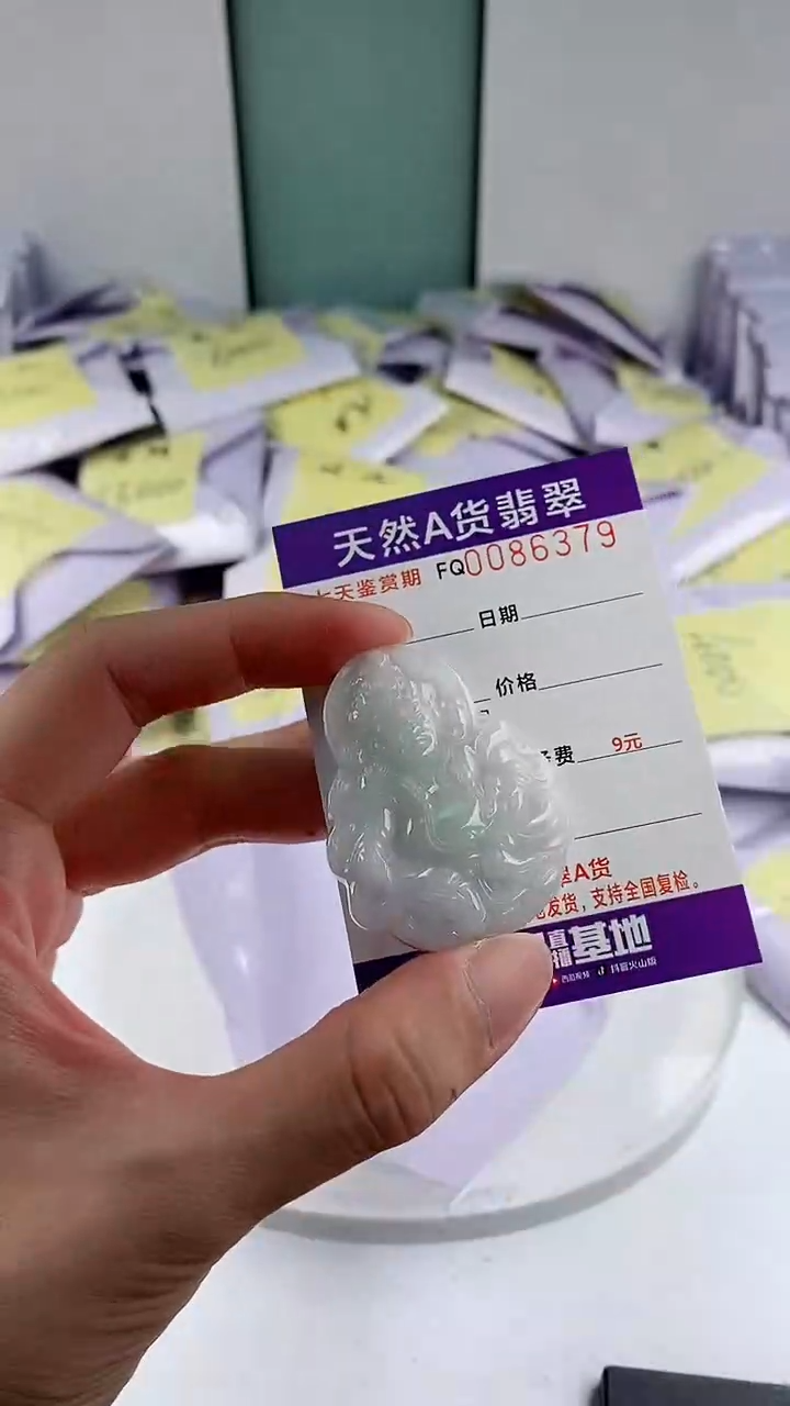 翡翠未镶嵌颈饰             