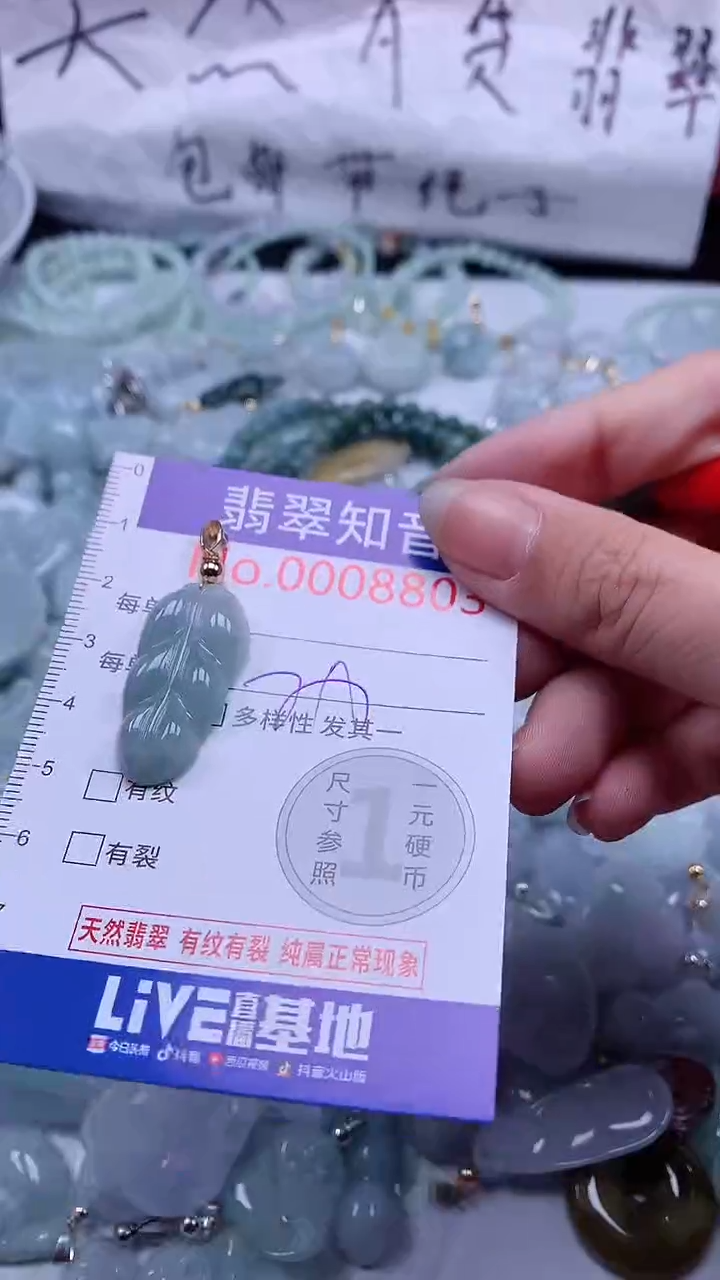 翡翠未镶嵌吊坠(不含链)8803