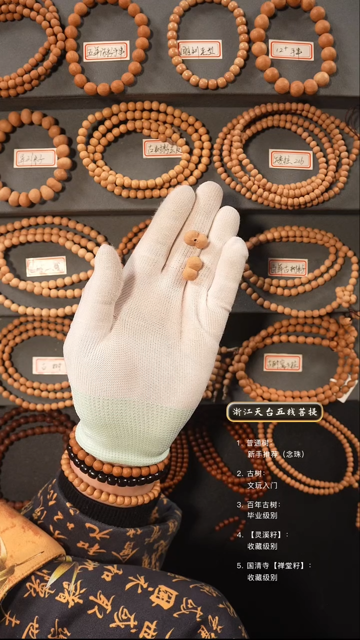 【闪购商品】五线菩提吊坠两颗异型籽